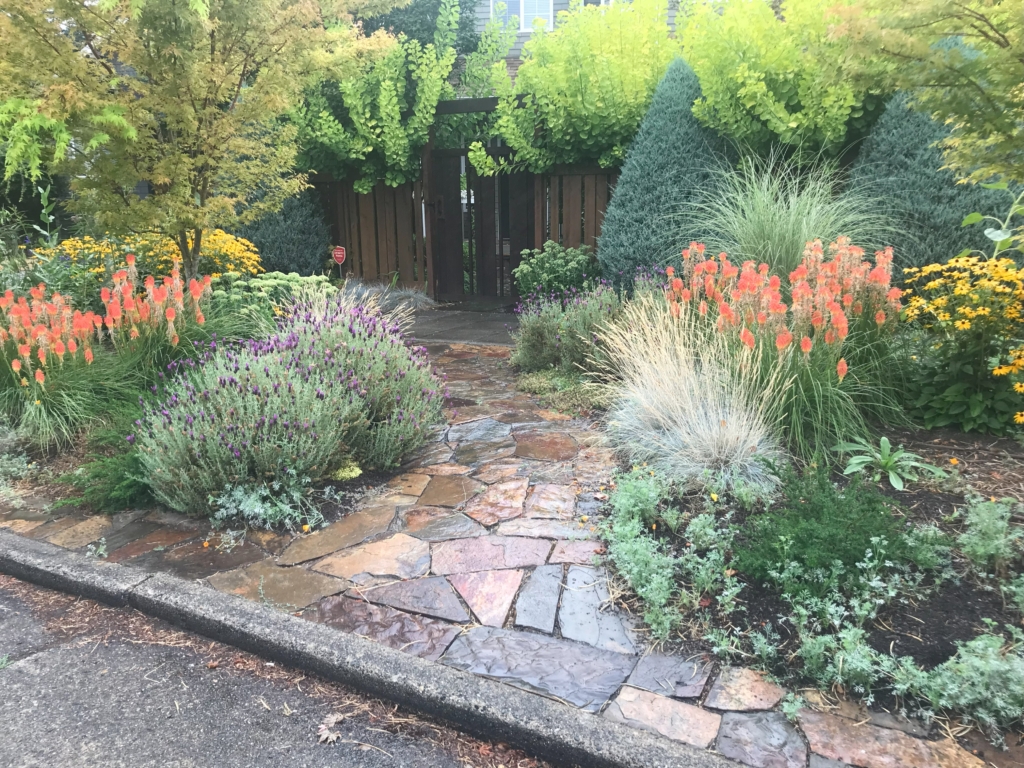 Pollinator Parking Strip in Green Lake